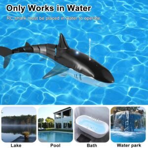 Remote Control Shark Toy